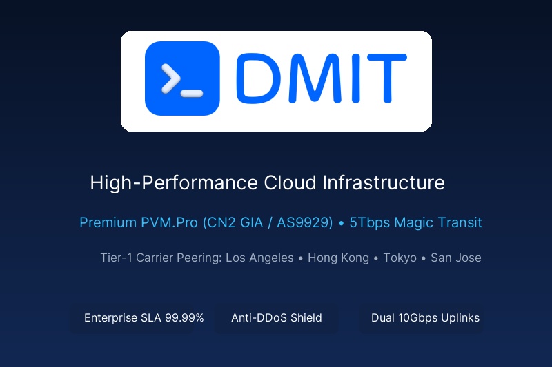 DMIT Cloud Infrastructure Review 2026: Premium PVM.Pro (CN2 GIA/AS9929) & Enterprise DDoS Mitigation